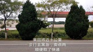 来回将近十公里，步行去黑岛镇，买点肉，顺便取了快递