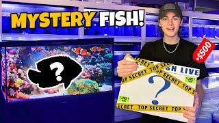 BUYING a $500 MYSTERY BOX for My SALTWATER AQUARIUM!!!