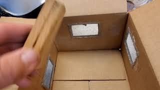 Box modification and other tips to ship honey bee queens successfully!