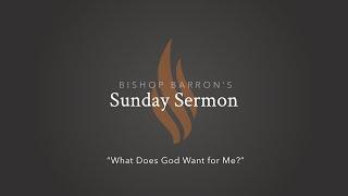 What Does God Want for Me? — Bishop Barron’s Sunday Sermon