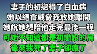 妻子的初戀得了白血病，她以絕食威脅我放她離開，她說她想陪他走完最後一程，可她不知這都是初戀設的局，後來我死了妻子卻瘋了【失語的貓】#落日溫情 #情感故事 #花開富貴 #深夜淺讀 #深夜淺談#家庭矛盾