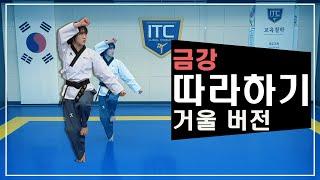 Geumgang poomsae Mirror mode