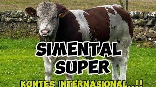 SIMENTAL SUPER ‼️#sinaugendeng #video #viralvideo #cow #animals