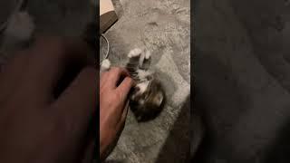 ٢ سبتمبر، ٢٠٢١