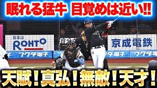 【眠れる猛牛打線】目覚めは近い!? 『天賦！真弘！無敵！天才！ 初回ヒット4本で3得点！』