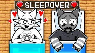 Gray & Wenda SLEEPOVER in Minecraft!