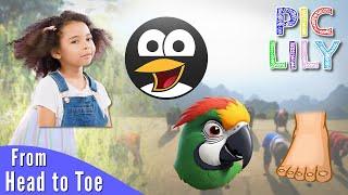 Learn English with From Head to Toe by Eric Carle | Picture Lyrics Subtitles and Video