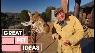 Dr Harry Visits The Zoo | Pets | Great Home Ideas