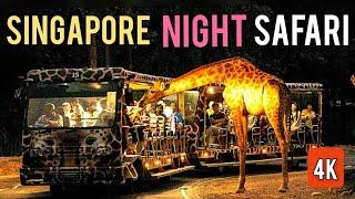 Singapore Night Safari | Creatures of the Night Show | 2022