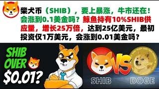 柴犬币（SHIB），要上暴涨，牛市还在！会涨到0.1美金吗？鲸鱼持有10%SHIB供应量，增长25万倍，达到25亿美元，最初投资仅1万美元，会涨到0.01美金吗？shib币|柴犬币|屎币行情分析！