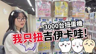 【扭蛋】超神！$1000吉伊卡哇挑戰，一轉就中想要的！這運氣也太逆天！【NyoNyoTV】