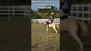 Quando eu penso que tá tudo dando certo na minha vida  #funk #viralizou #viralvideo #short #fy