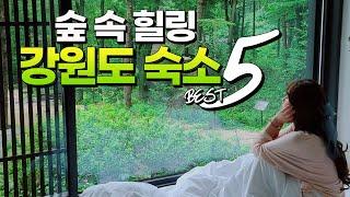 [ENG SUB] 숲 속에서 힐링 제대로 되는 강원도 숙소 BEST 5 (Gangwon-do hotels and resorts in the forest)