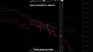 Master the market with Fortune Signals Indicator the ultimate tool for smart traders! XAUUSD GOLD.