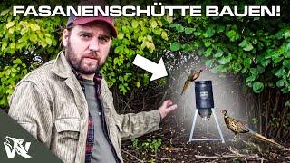 SO baut man sich eine FASANENSCHÜTTE für NIEDERWILD! | JAGD