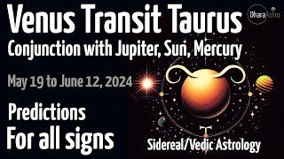 Venus transit in Taurus 2024 | May 19 - Jun 12 | Vedic Astrology Predictions #astrology #taurus