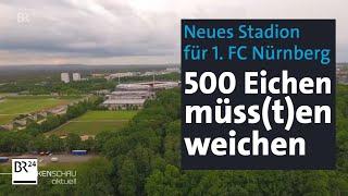 Umbau von Max-Morlock-Stadion in Nürnberg: Müssen 500 Eichen weichen? | BR24