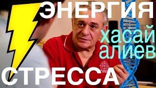 Хасай Алиев - интерьвью,  ВЛОГ у него дома. ЭНЕРГИЯ СТРЕССА