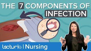 What Causes an INFECTION? :  Breaking the Chain of Infection | Lecturio Nursing Fundamentals/Theory