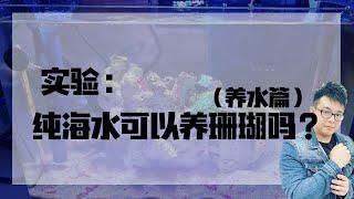 直接用海水可以养珊瑚吗？（养水篇）   |   小马玩水族   |   海王频道