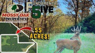 Hunting in the Land of the Giants - Mossy Oak Properties Fundamental 5ive