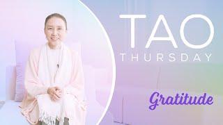 Cultivating Gratitude | Tao Thursday with Ilchibuko Todd | LOVE HEALS Film