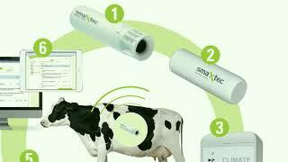 Smaxtec Smart Bolus