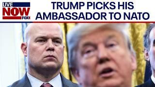 Trump nominates Matthew Whitaker as Ambassador to NATO | LiveNOW from FOX