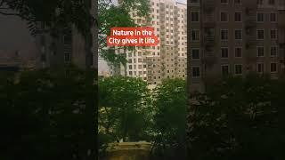 Nature in  the City|#pakistan #pakistan #karachicitypakistan #nature,#naturelovers