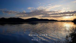 Relaxing and Calming Ambience - Gentle Water Sounds, Soothing Insect ASMR Nature sounds, sleep