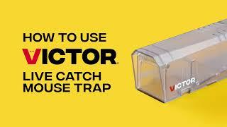 How to Use the Victor Live Catch Mouse Trap | M337