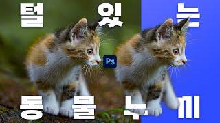 초간단! 동물의 털, 머리카락 누끼 따끼 #포토샵무료강좌