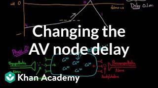 Changing the AV node delay - chronotropic effect | NCLEX-RN | Khan Academy