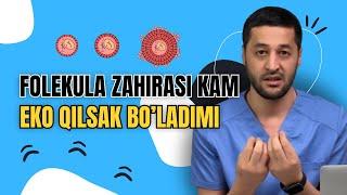  Follikula zaxirasi kam, EKO qilsak bo’ladimi | Fayoz Aminov