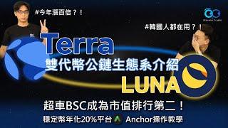 Terra Luna 雙代幣公鏈生態介紹｜超車BSC成為市值排行第二！｜穩定幣20％年化 DeFi平台 Anchor 操作教學－【Chain - EP01】