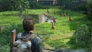 Last of Us ama Joel "PİSLİK" gibi davranıyor!