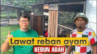 #129 Melawat reban ayam KEBUN ABAH di Temerloh