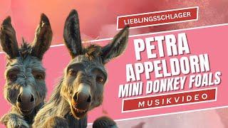 Mini Donkey Foals - Offizielles Musikvideo | Petra Appeldorn