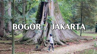 Bogor, Jakarta VLOG / Kebun Raya Bogor, Lake House, Homeware Store, Squid Pasta