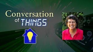 Conversation of Things #1 - Allison Sheridan