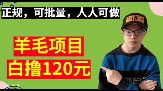 【网赚项目】羊毛项目，每个人白撸120元，可多账号操作，正规！|| 新手如何选择项目？（副业项目100招20）