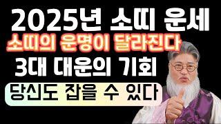 2025년 소띠 운세 - 복 터지는 을사년! 꼭 잡아야 할 3대 대운, 이것 만은 놓치지 마라!