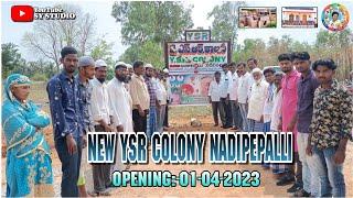 New YSR Colony Nadipepalli opening #trending #youtybeshorts #syedyounusedits #systudio