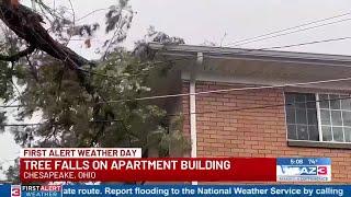 Tree falls on apartment building in Chesapeake, Ohio