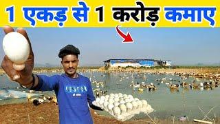 25 साल के लड़के ने एक एकड़ से एक करोड़ कमाए |  Duck farm tour