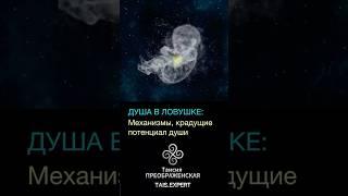 ДУША В ЛОВУШКЕ: Механизмы, крадущие потенциал души