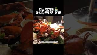 [오푸파] 다낭 하얏트 마지막 만찬은 여기! #다낭맛집 #하얏트리젠시 #다낭리조트