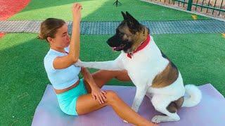 Hilarious Adventures of a Slim Girl Training Her Comically Cute Dog 