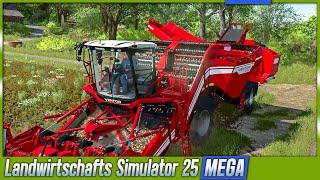 LS25 ► Kartoffeln vom neuen Felde | MEGA Farming Simulator 25 [s4e25]