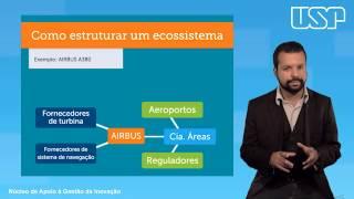 Ecossistemas de Inovação - Prof. Leonardo Gomes